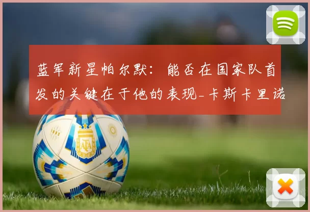 蓝军新星帕尔默：能否在国家队首发的关键在于他的表现_卡斯卡里诺_球迷_球员