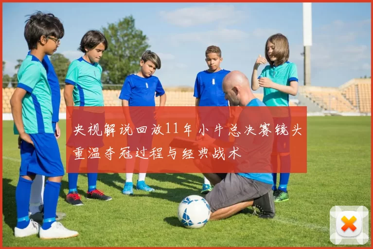 央视解说回放11年小牛总决赛镜头重温夺冠过程与经典战术