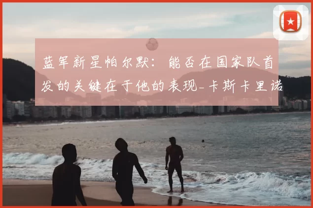 蓝军新星帕尔默：能否在国家队首发的关键在于他的表现_卡斯卡里诺_球迷_球员