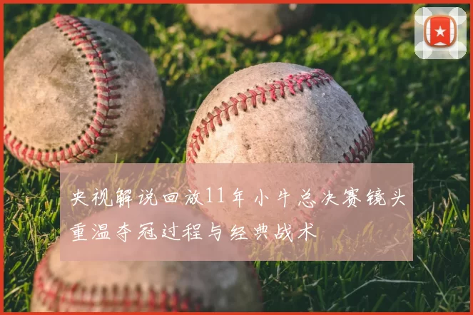 央视解说回放11年小牛总决赛镜头重温夺冠过程与经典战术