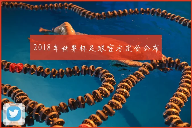 2018年世界杯足球官方定价公布