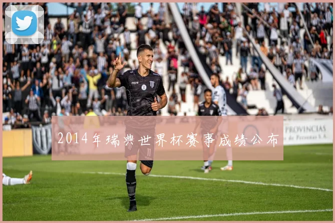2014年瑞典世界杯赛事成绩公布